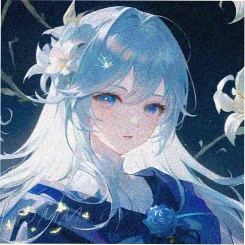 夜航西飞头像